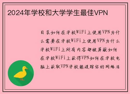 2024年学校和大学学生最佳VPN 