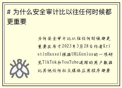 # 为什么安全审计比以往任何时候都更重要 