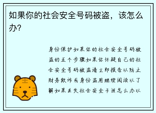 如果你的社会安全号码被盗，该怎么办？